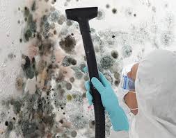 Best Industrial Mold Remediation  in Slidell, LA